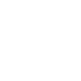 https://blachi.cr/wp-content/uploads/2015/09/vinjeta-320x320.png